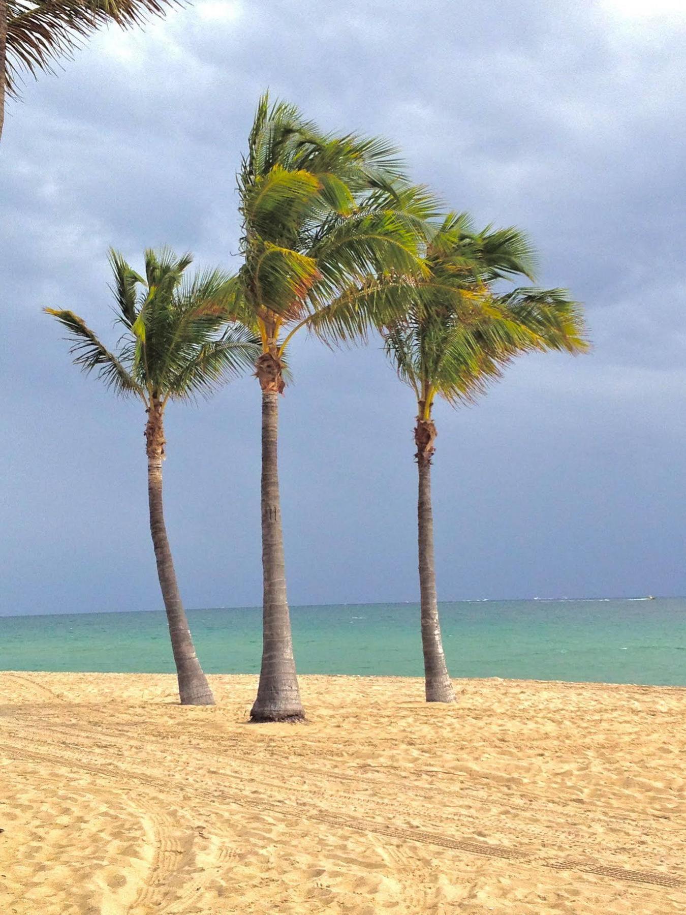 Fortuna Fort Lauderdale Dış mekan fotoğraf